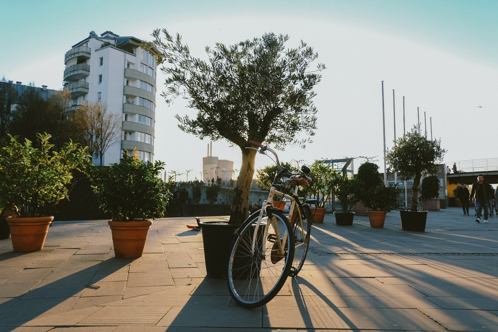 vélo elliptique