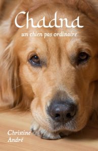 Chadna un golden retriever pas comme les autres