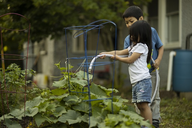 Un potager à domicile